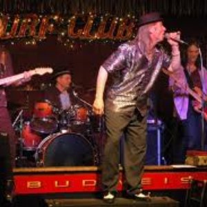 Acme Blues Company 的头像