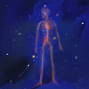 Ontogenesis