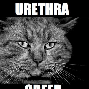 URETHRA CREEP 的头像