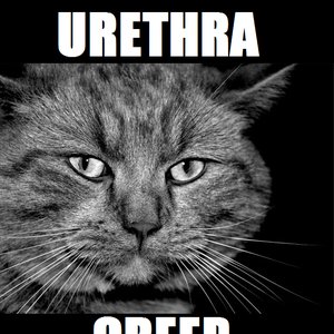 Image for 'URETHRA CREEP'