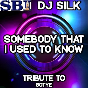 Somebody That I Used to Know - DJ Tribute to Gotye and Kimbra