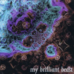My Brilliant Beast