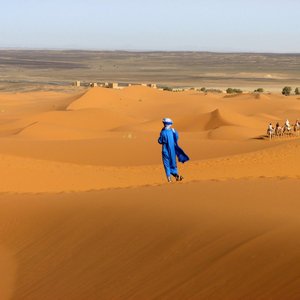 Desert Traveller