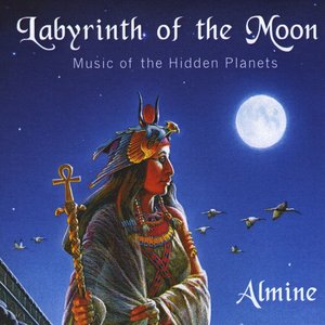 The Labyrinth of the Moon