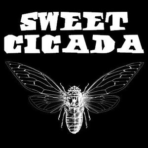 Image for 'Sweet Cicada'