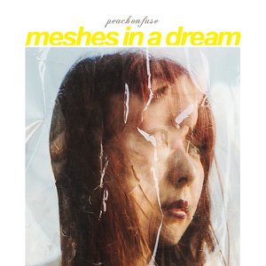 MESHES IN A DREAM