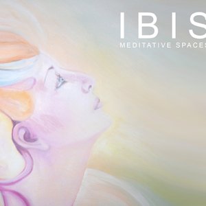 Image for 'Ibis Music'