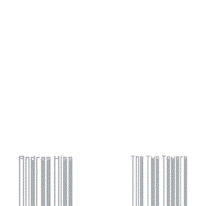 The Two Towers