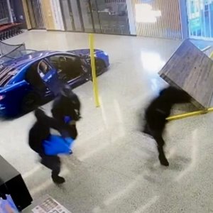 Avatar för Immortal Shoplifters