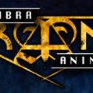 Image for 'Umbra Animae'