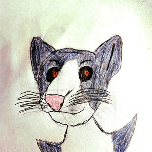 Avatar for JASHO JR.