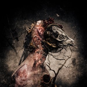 Solium Fatalis 的头像
