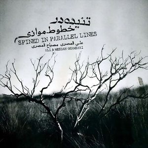 Image for 'Ali Ghamsari & Mesbaah Ghamsari'