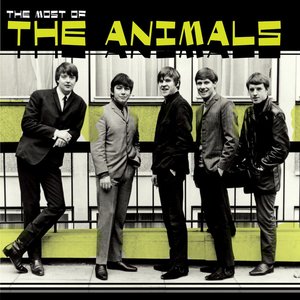 The Most of the Animals