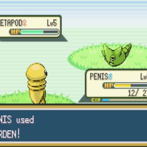 Kakuna Vs Metapod 的头像