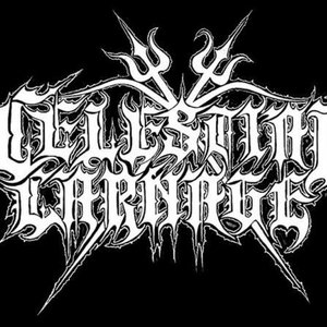 Celestial Carnage 的头像