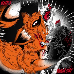 Bnms/Rs - Single