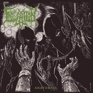 Anatomize - Single