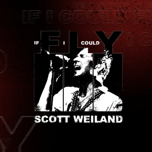 Cover Scott Weiland – If I Could Fly