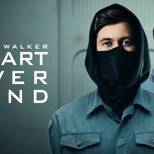 Alan Walker, Daya 的头像