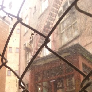 Raining 的头像