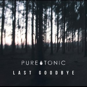 Last Goodbye - Single