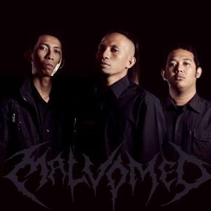 Malvomed 的头像