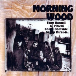 Image for 'Morning Wood'