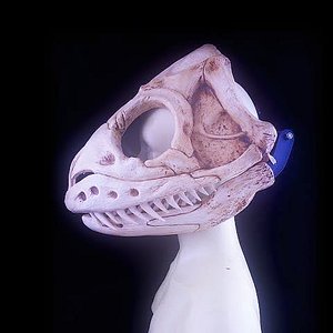 Avatar for kushkobra