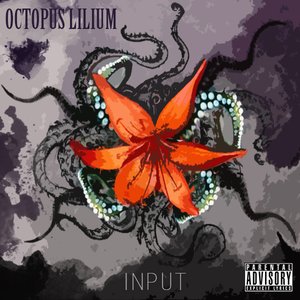 Avatar for Octopus Lilium