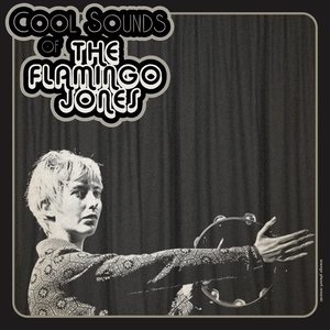 The Flamingo Jones 的头像