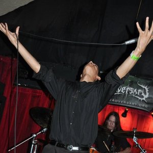 the forest of suicides 的头像