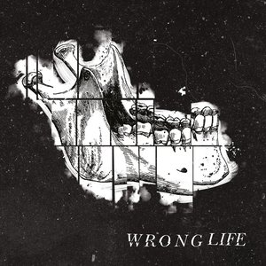 Wrong Life