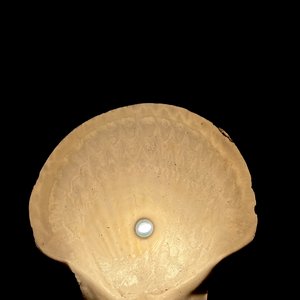 Pearl