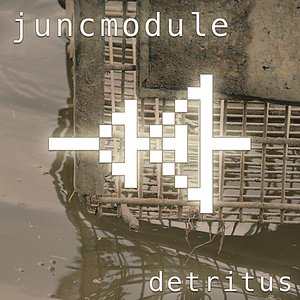Detritus