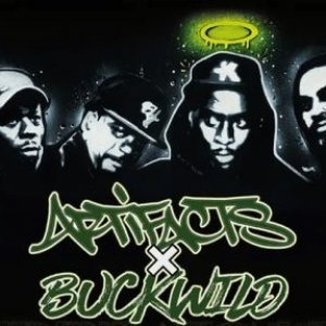 Avatar for Artifacts & Buckwild