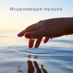 Музыкальная терапия со звуками природы 的头像