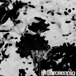 Microscopio