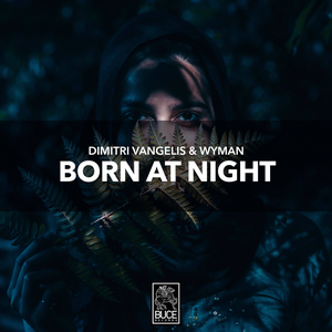 Artwork for Born At Night