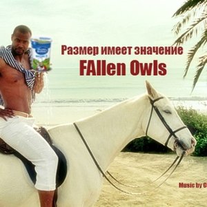 fallen owls 的头像