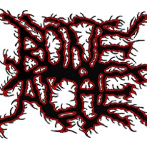Avatar for Bone Ache