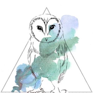 Manu Shrine & Elo Method için avatar