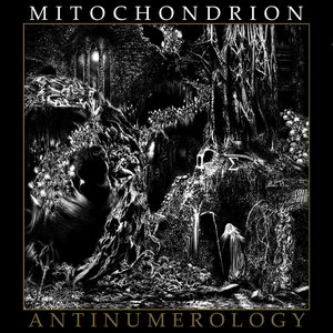 Antinumerology - Single