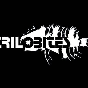 Trilobites 的头像