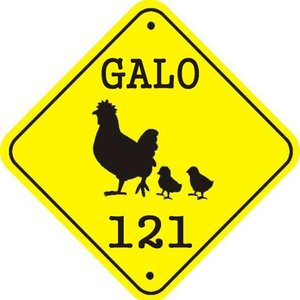 Galo 121 的头像