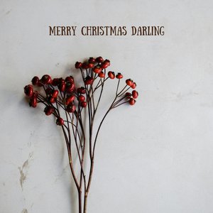 Merry Christmas Darling