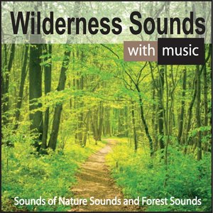Wilderness Sounds With Music: Sounds of Nature Sounds and Forest Sounds
