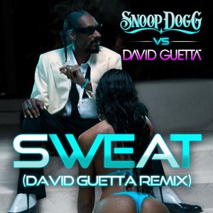 Snoop Dogg feat. David Guetta Profile Picture
