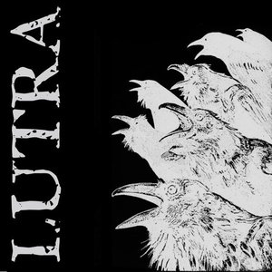 Avatar for Lutra