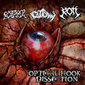 Optical Hook Dissection